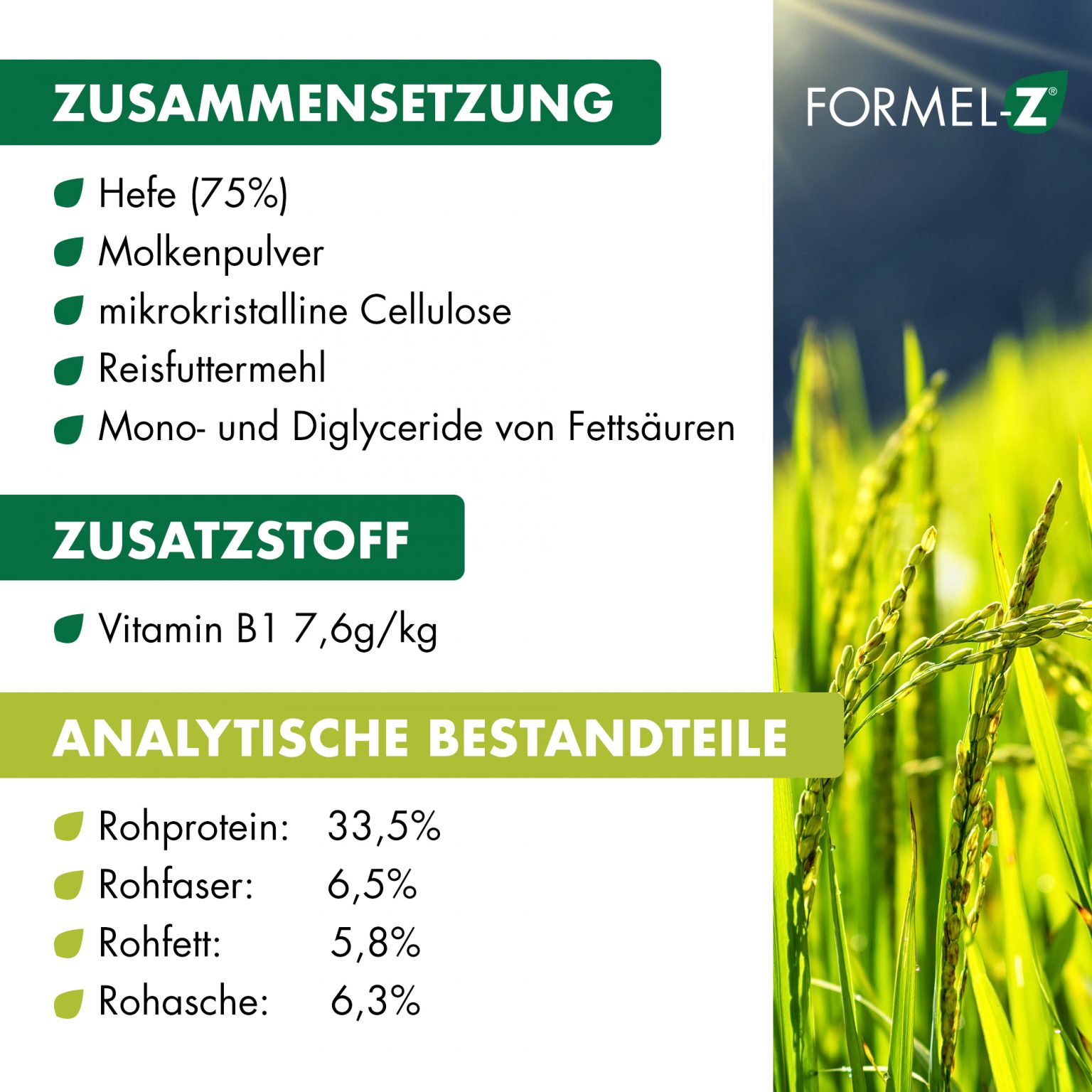 Formel Z_Dogs_IMG_05